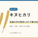 キヌヒカリのアイキャッチ画像。稲穂のイラストと「全国の作付割合1.6%で第10位」の文字