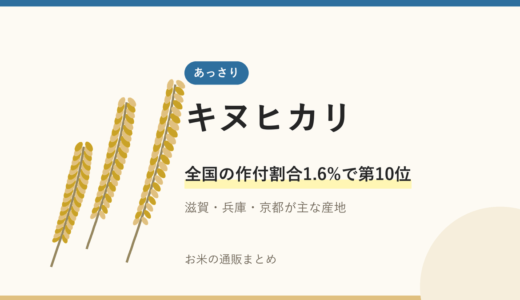 あっさり派におすすめ！キヌヒカリの魅力と相性の良い料理を紹介