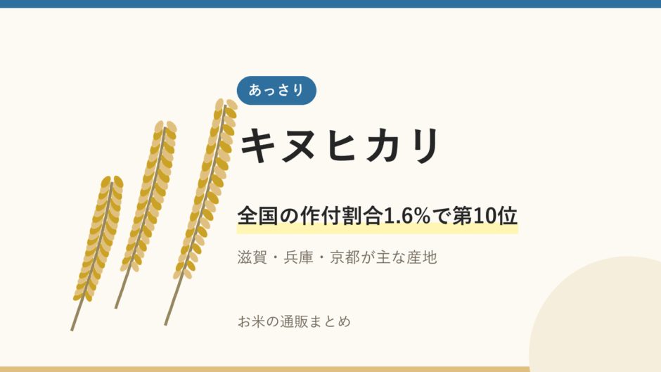 キヌヒカリのアイキャッチ画像。稲穂のイラストと「全国の作付割合1.6%で第10位」の文字