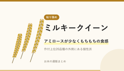 もちもち米ミルキークイーンの魅力！特徴や美味しい食べ方を紹介