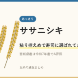ササニシキのアイキャッチ画像。稲穂のイラストと「粘り控えめで寿司に選ばれてきた品種」の文字