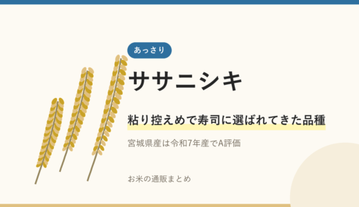 ササニシキの特徴は？寿司に選ばれる理由と入手方法を解説