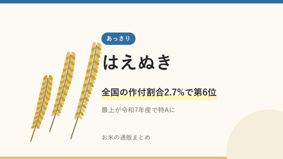はえぬきのアイキャッチ画像。稲穂のイラストと「全国の作付割合2.7%で第6位」の文字